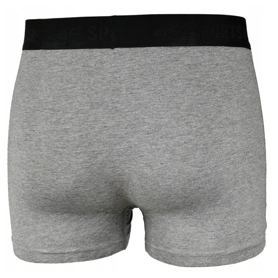 4F Ανδρικό εσώρουχο boxer 2-Pack